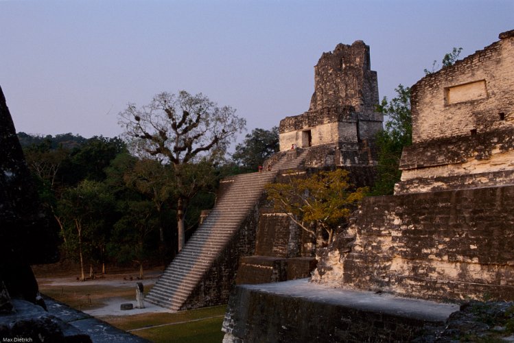 169-26.jpg - tempel III, die treppen sind steil und die stufen sehr hoch, andererseits waren die mayas eher kleinwüchsig